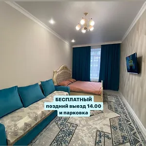  Апартаменты уютная 1 комнатная на улы дала,214