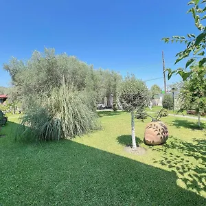 https://apartments-alexandros.hotelschalkidiki.net